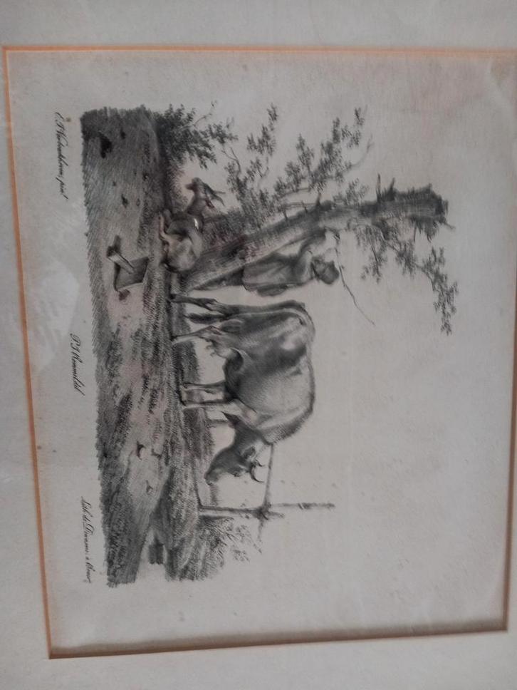 Litho van E.J. Verboeckhoven & P.S. Rommel, Antiek en Kunst, Kunst | Etsen en Gravures, Ophalen of Verzenden