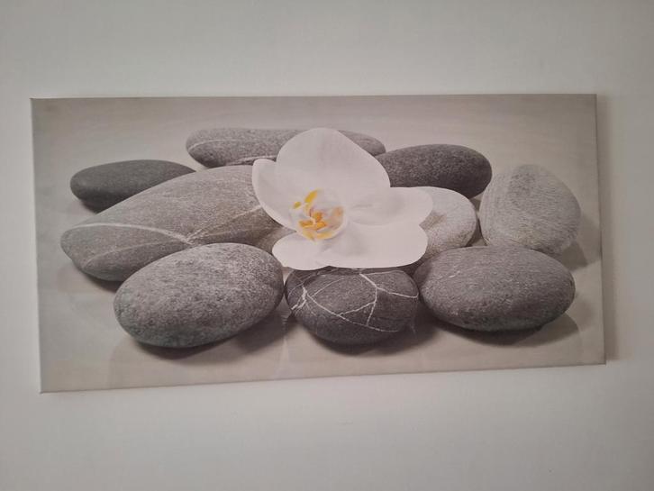 Schilderij: Orchidee op stenen, Huis en Inrichting, Woonaccessoires | Schilderijen, Tekeningen en Foto's, Zo goed als nieuw, Schilderij