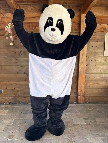 Te Huur: Panda-kostuum, Mascotte, Dieren, Carnaval beschikbaar voor biedingen
