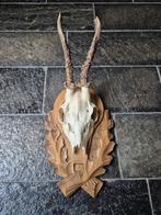 Mooi Ree Gewei op hand gestoken trofee plank jacht e55, Ophalen of Verzenden, Zo goed als nieuw, Hert, Gewei of Kop