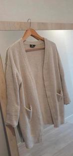 Beige dames vest maat M, Ophalen of Verzenden, Zo goed als nieuw, Maat 38/40 (M), Beige