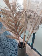 Berenklauwen, palmveer ....totaal 6 stuks, Huis en Inrichting, Woonaccessoires | Droogbloemen, Ophalen, Nieuw
