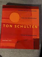Boek over Ton Schulten - Consensusisme, Ophalen of Verzenden, Zo goed als nieuw, Schilder- en Tekenkunst