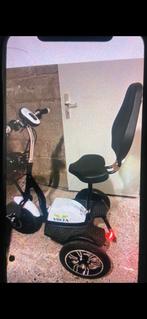 Elektirikci volwassen driewieler  km snelheid 25, Fietsen en Brommers, Gebruikt, Fully, Ophalen of Verzenden, Overige merken