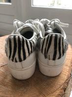 Adidas superstar, Ophalen of Verzenden, Gedragen