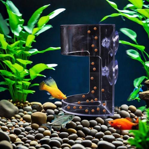Acryl Vissenvoer Ring/pak, Dieren en Toebehoren, Vissen | Aquaria en Toebehoren, Nieuw, Ophalen