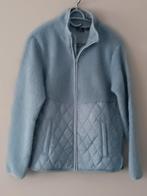 Vest/jasje maat S, nieuw!, Ophalen of Verzenden, Nieuw, Maat 36 (S), Blauw