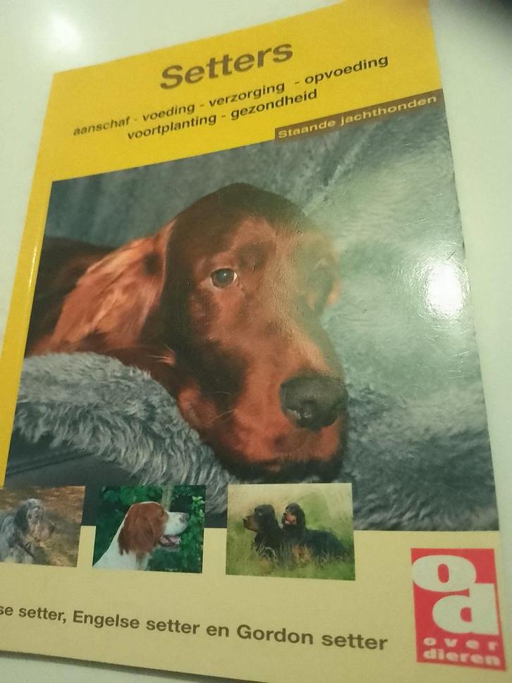 De Setters, Boeken, Dieren en Huisdieren, Zo goed als nieuw, Honden, Ophalen of Verzenden