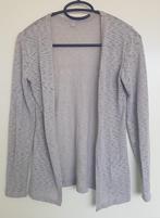 vest dun licht grijs maat 146 / 152, Kinderen en Baby's, Kinderkleding | Maat 146, Zeeman, Meisje, Trui of Vest, Ophalen of Verzenden