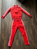 Adidas Originals Firebird Rood Maat XS, Kleding | Dames, Ophalen of Verzenden, Maat 34 (XS) of kleiner, Rood
