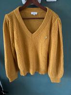 Fabienne Chapot trui, Kleding | Dames, Overige kleuren, Maat 42/44 (L), Ophalen of Verzenden, Zo goed als nieuw