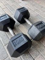 Hexagon Dumbbells 20kg (Set van 2), Ophalen, Gebruikt, Armen, Dumbbell