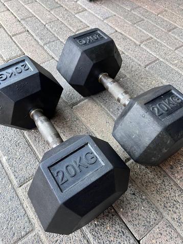 Hexagon Dumbbells 20kg (Set van 2) beschikbaar voor biedingen