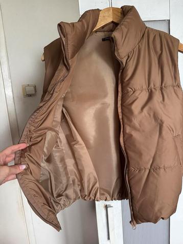 Een gewatteerde bodywarmer beschikbaar voor biedingen