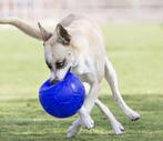 Gezocht oude voetballen voor de hond, Dieren en Toebehoren, Hondenspeelgoed, Ophalen of Verzenden, Hondenballen
