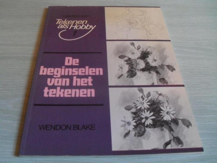 Tekenen ALS Hobby - De beginselen van het tekenen, Hobby en Vrije tijd, Tekenen, Zo goed als nieuw, Boek of Gids, Verzenden