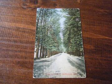 V29 - De Steeg - Middachter Allee - 1911 - beschikbaar voor biedingen
