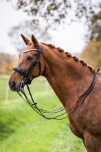 L'Anique Stang en Trens Hoofdstel Governor - Cob of Full, Dressuur, Bitsnbridles.eu@outlook.com, Nieuw, Tijnjeweg 37, gersloot