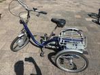 Van Raam Midi driewieler, Fietsen en Brommers, Fietsen | Driewielfietsen, Ophalen