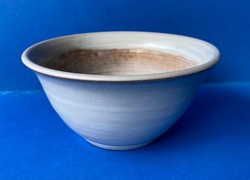 Cactuspotje mobach beschikbaar voor biedingen