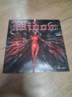 WIDOW - Carved In Stone., Ophalen of Verzenden, Zo goed als nieuw