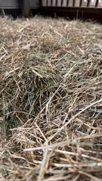 Duits kruidenhooi, Dieren en Toebehoren, Ophalen, Overige soorten