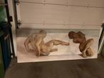Schilderij gekocht op kunstbeurs., Antiek en Kunst, Ophalen of Verzenden