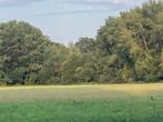 Gezocht paarden mest vaste mest voor febr 2026, Dieren en Toebehoren, Stalling en Weidegang, Toebehoren, 4 paarden of pony's of meer