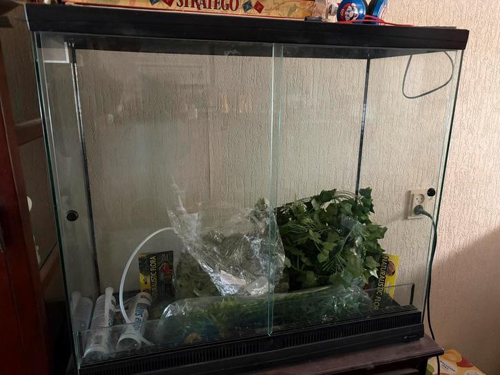 Terrarium 80x35x73, ex inhoud, Dieren en Toebehoren, Reptielen en Amfibieën | Toebehoren, Zo goed als nieuw, Terrarium of Paludarium