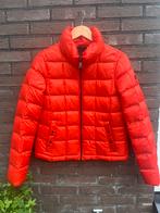 FUCHS SCHMITT 36/38, Kleding | Dames, Ophalen of Verzenden, Zo goed als nieuw, Maat 36 (S), Rood