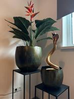 Kunstplant, Huis en Inrichting, Woonaccessoires | Zuilen en Pilaren, Ophalen