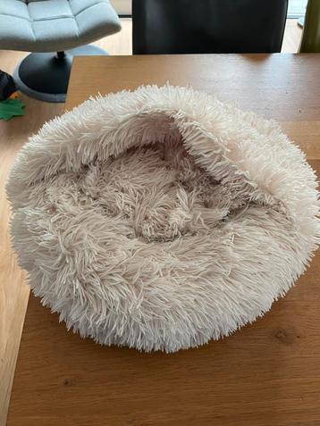 Hondenmand puppy beschikbaar voor biedingen