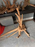 Geweldig XXL stuk Kienhout / Driftwood / Spiderwood Aquarium, Ophalen of Verzenden, Zo goed als nieuw, Plant(en), Steen of Hout