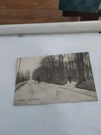 ERMELO. JOHANNES BOSCH, Ophalen of Verzenden, Voor 1920, Gelderland