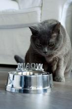 Rivièra Maison Miaow RVS katten voerbak en waterbak, Ophalen, Gebruikt
