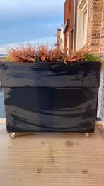 Plantenbak, Ophalen, Balkon, Zo goed als nieuw, 60 cm of meer