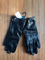 NIEUW Leren Handschoenen Bijou Brigitte maat S, Kleding | Dames, Mutsen, Sjaals en Handschoenen, Ophalen of Verzenden, Nieuw, Maat 36 (S)