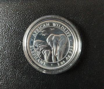 1 Oz Silver Olifant / Elephant 2015 munt - Somalië