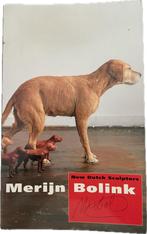 Merijn Bolink new sculpture museum foundation, Boeken, Beeldhouwkunst, Diverse auteurs, Ophalen of Verzenden, Zo goed als nieuw