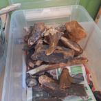 Groot aantal ijstijd fossielen botten noordzee., Verzamelen, Mineralen en Fossielen, Ophalen of Verzenden, Fossiel