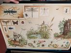 Maarten de Jongh schoolplaten 54 stuks, Ophalen, Natuur en Biologie