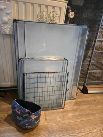 Knaagdieren ren beschikbaar voor biedingen
