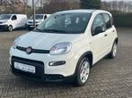 Fiat Panda Pandina Nieuwe autos 17,999,-€, Verzenden, Fiat