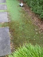 Kunstgras diepte reiniging mos onkruid in tuin of sportveld, Ophalen, Nieuw, Minder dan 10 m², Kunstgras