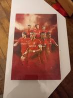 FC TWENTE CANVAS, Ophalen of Verzenden, A1 t/m A3