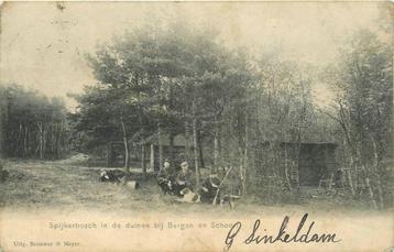 (388-280-011) Bergen (NH) Spijkerbosch in de duinen beschikbaar voor biedingen