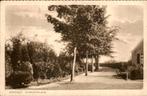 Borculo - Eikelhoflaan, Ophalen of Verzenden, Voor 1920, Gelopen, Gelderland