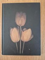Tulipa - Leendert Blok & Jasper Wiedeman, Fotografen, Ophalen of Verzenden, Zo goed als nieuw, Maria heiden