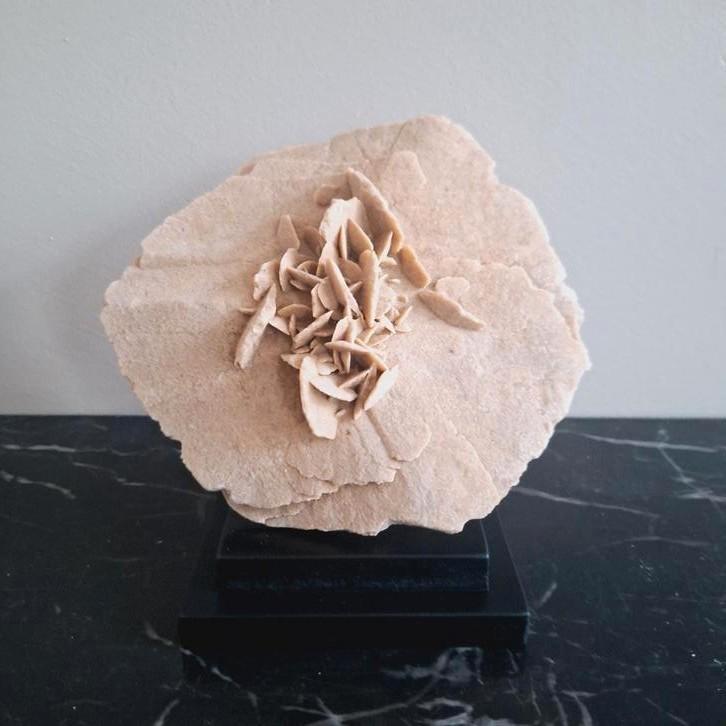 🌺Gaaf stuk woestijnroos op zwarte voet | hotel chic, Verzamelen, Mineralen en Fossielen, Mineraal, Ophalen of Verzenden