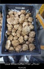 Trufel wilde truffel, Ophalen of Verzenden